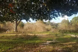 41640 Hwy 6 N Hwy, Hempstead, TX 77445 - Photo 7