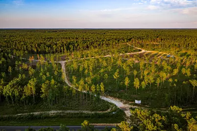 Tbd Lot 5 Fm 1276, Livingston, TX 77351 - Photo 9