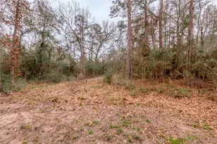 20 Tall Timbers Way, Huntsville, TX 77320 - Photo 37