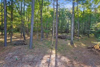 244 Remington Road, Huntsville, TX 77340 - Photo 7