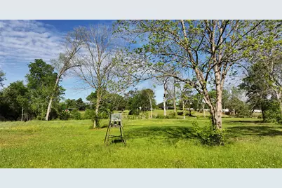 3935 Spring Branch Road, Montgomery, TX 77316 - Photo 13