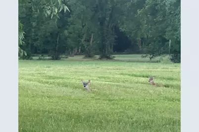 3935 Spring Branch Road, Montgomery, TX 77316 - Photo 5