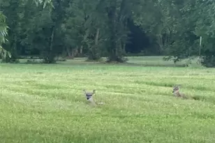 3935 Spring Branch Rd, Montgomery, TX 77316 - Photo 5