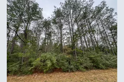 4 Fm 2626, Newton, TX 75966 - Photo 5