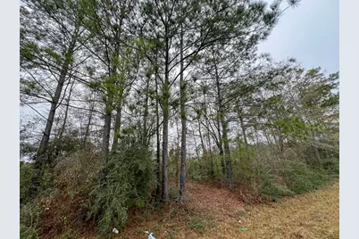 4 Fm 2626, Newton, TX 75966 - Photo 9