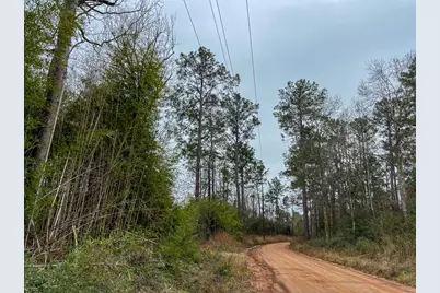 4 Fm 2626, Newton, TX 75966 - Photo 15