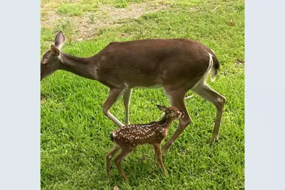 21210 Papoose, Crosby, TX 77532 - Photo 33