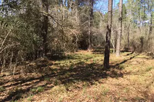 0000 Buffalo Ln, Silsbee, TX 77656 - Photo 1