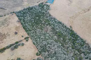 Tbd Lcr 705, Kosse, TX 76653 - Photo 9