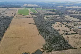 Tbd Lcr 705, Kosse, TX 76653 - Photo 7