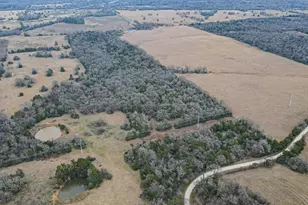 Tbd Lcr 705, Kosse, TX 76653 - Photo 11