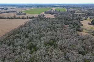 Tbd Lcr 705, Kosse, TX 76653 - Photo 13