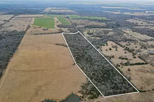 Tbd Lcr 705, Kosse, TX 76653 - Photo 3