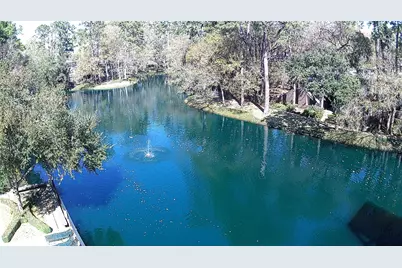 238 Litchfield Lane, Houston, TX 77024 - Photo 21