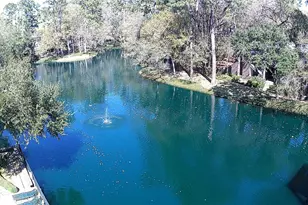 238 Litchfield Ln, Houston, TX 77024 - Photo 21