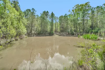 17174 Tierra Buena Drive, Plantersville, TX 77363 - Photo 47