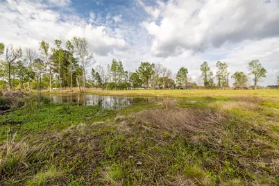 384 County Road 2046, Hull, TX 77564 - Photo 11