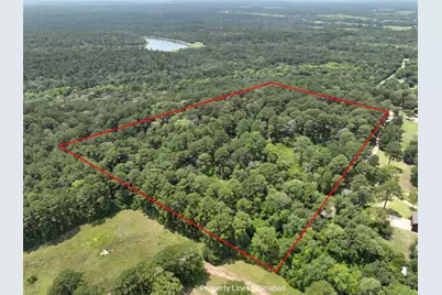 3340 County Road 325, Navasota, TX 77868 - Photo 5