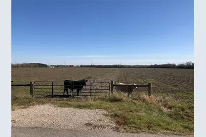 00 Dannhaus Road, Needville, TX 77461 - Photo 9