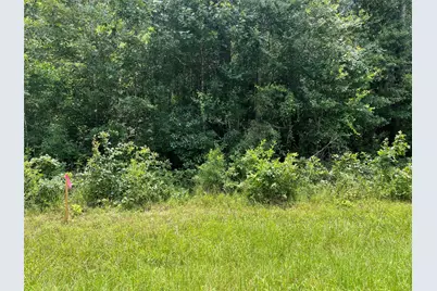 25416 Cambridge Boulevard, New Caney, TX 77357 - Photo 5