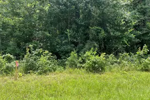 25416 Cambridge Blvd, New Caney, TX 77357 - Photo 5