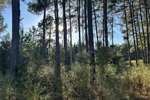 [Address not provided], Lovelady, TX 77854 - Photo 1