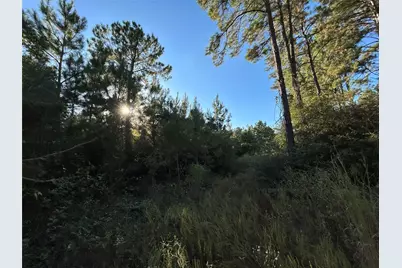 [Address not provided], Lovelady, TX 77854 - Photo 5