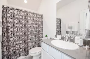 31438 Vineyard Creek Dr, Fulshear, TX 77441 - Photo 15