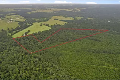 Tract 12 Fm 230, Lovelady, TX 77854 - Photo 13