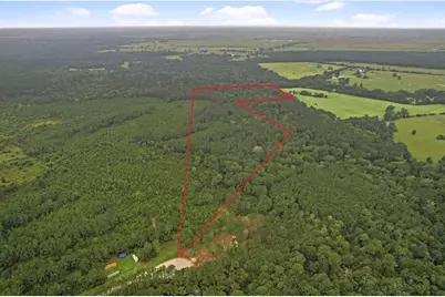 Tract 12 Fm 230, Lovelady, TX 77854 - Photo 11