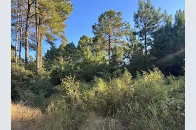 Tract 12 Fm 230, Lovelady, TX 77854 - Photo 7