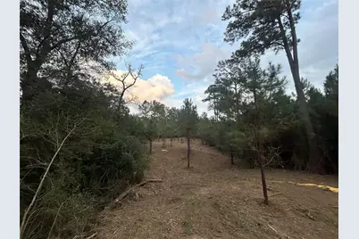 Tract 12 Fm 230, Lovelady, TX 77854 - Photo 1