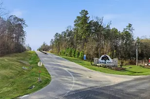 1229 Road 66112, Dayton, TX 77535 - Photo 47