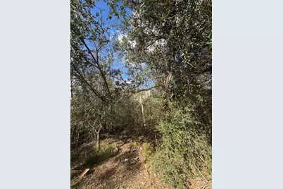 0 Paloma, Bay City, TX 77414 - Photo 3