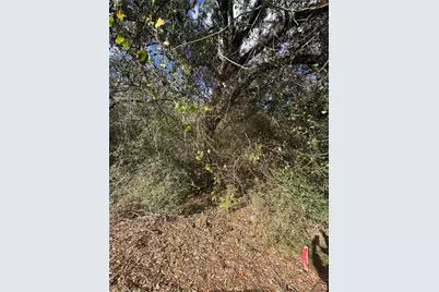 0 Paloma, Bay City, TX 77414 - Photo 7