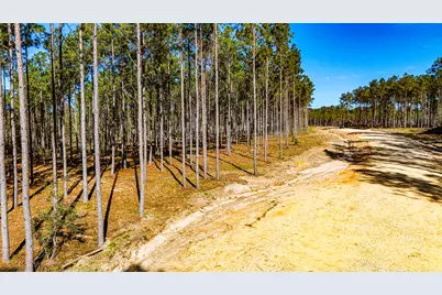 0013 Big Buck Drive, Moscow, TX 75960 - Photo 5