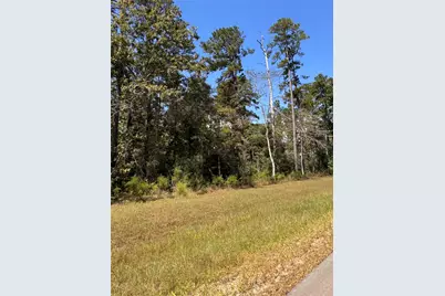 15863 Wood Grove Way, Willis, TX 77378 - Photo 9