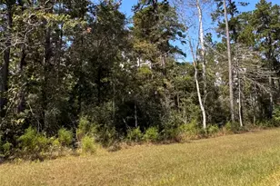 15863 Wood Grv Wy, Willis, TX 77378 - Photo 9