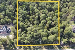 15863 Wood Grv Wy, Willis, TX 77378 - Photo 5