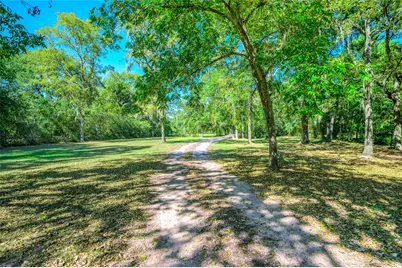 27843 Krezdorn Road, Hockley, TX 77447 - Photo 11