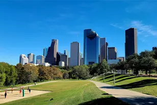 1304 W Dallas, Houston, TX 77019 - Photo 41