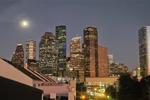 1304 W Dallas, Houston, TX 77019 - Photo 3