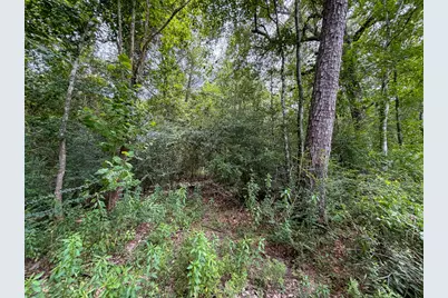 0 Pine Tree Lane, Kountze, TX 77625 - Photo 7