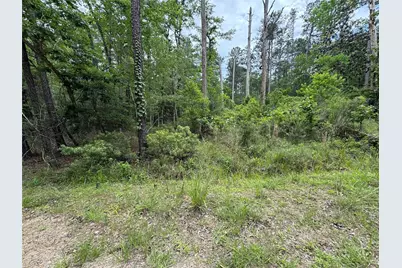 239238 Arborcrest Drive, Brookeland, TX 75931 - Photo 1