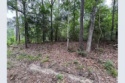 239238 Arborcrest Drive, Brookeland, TX 75931 - Photo 5