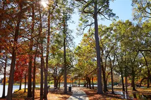 2221 Marnel Rd, Houston, TX 77055 - Photo 37