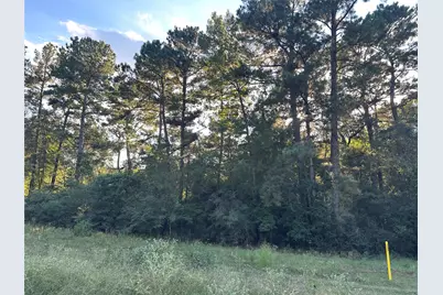 4A-11-44 Sundog Road, Huntsville, TX 77340 - Photo 7