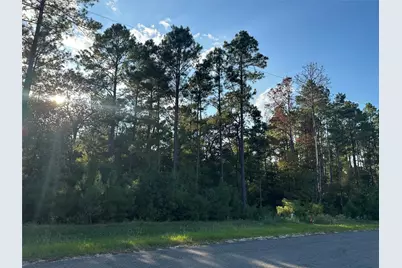 4A-11-44 Sundog Road, Huntsville, TX 77340 - Photo 11