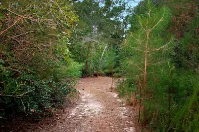 Tbd Sky Oak Lane, Huntsville, TX 77340 - Photo 3