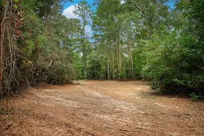 Tbd Sky Oak Lane, Huntsville, TX 77340 - Photo 7